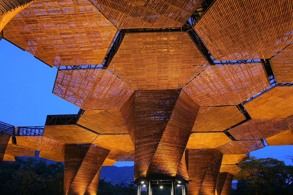 Estructura hexagonal de madera iluminada, con cielo azul de fondo. Ambiente moderno y arquitectónico, enfatizando diseño geométrico. Orquideorama de plan:b arquitectos, articulo escrito por Jordi Borrull en la revista focus latinoamerica