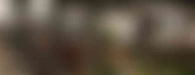 Parque Prado Centro Medellin, Colombia