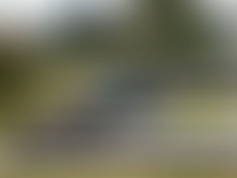 Preescolar Gimnasio Campestre de Felipe González-Pacheco Mejía