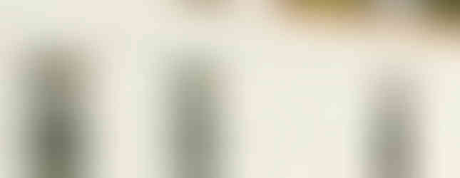 Casa Entrecopas de Marina Vella Arquitectura en Lima, Peru