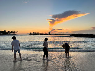 IMG_5940.jpeg