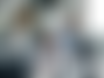 Appraising Performance Across Borders: An Empirical Examination of the Purposes and Practices of Performance Appraisal in a Multi-Country Context