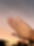 Thumbnail: Bad Girl Finger Set
