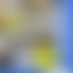 中学3年生・高校3年生募集中