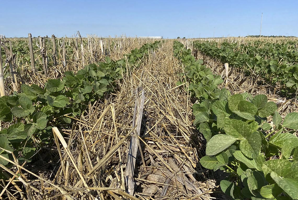 Illinois Cover Crop Incentive Pre‑Enrollment Opens