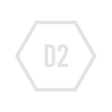 icon_Youth_D2.png