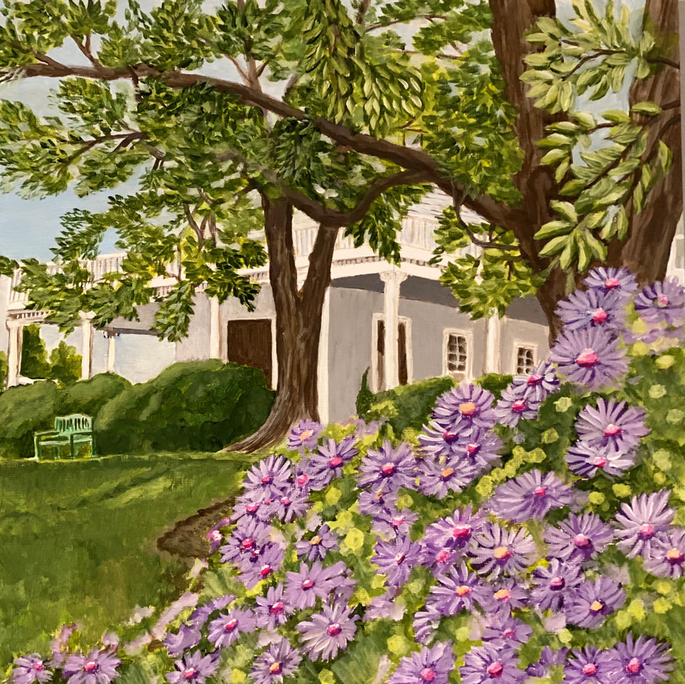 Asters At River Farm
