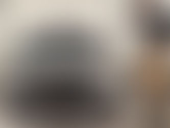 Gyeon Q2 Wax Detail – Audi RS3