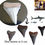 Miniatyrbilde: Megalodon tann 6 cm og mindre i tre og glass box