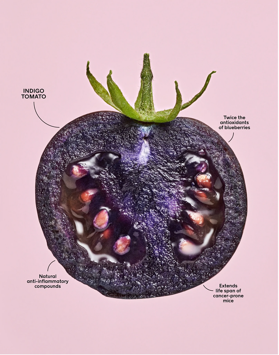 The Purple Tomato that is Old News