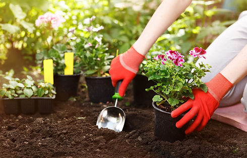 vetements-jardin-jardinage-gants-fleurs-