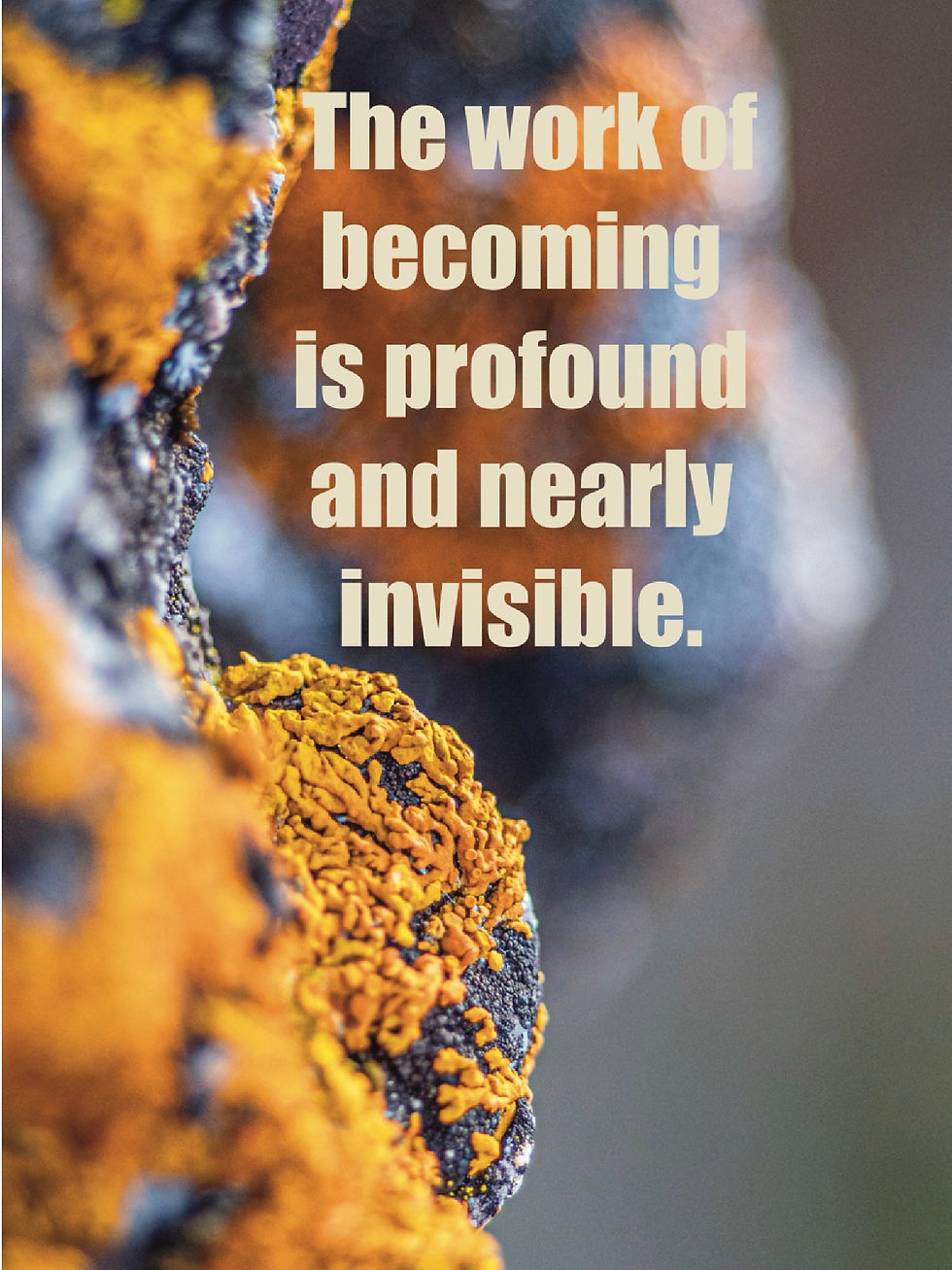 The growth of lichen is nearly invisible to the naked eye, similarly so is the growth of the writer's journey.