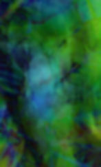 Serie "pflanze und tier"