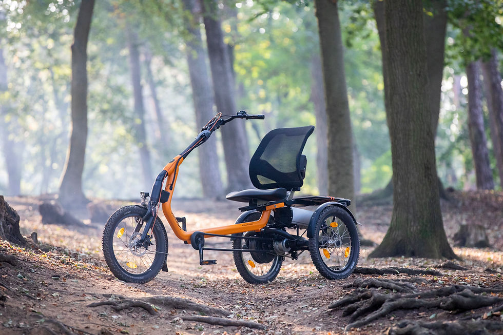 Van Raam noppenband Easy Rider driewielfiets