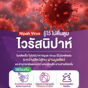 อย่าตื่นตูม แต่ควรตื่นตัว เพื่อจะได้เตรียมรับมือกับ ไวรัสนิปาห์ ได้ทัน