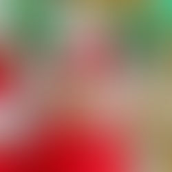 สุขสันต์วันคริสต์มาส