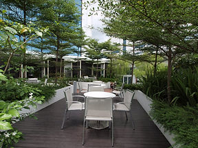Garden.JPG