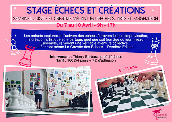 stageéchecsavril.jpg