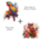 Macaw and Owl Puzzle