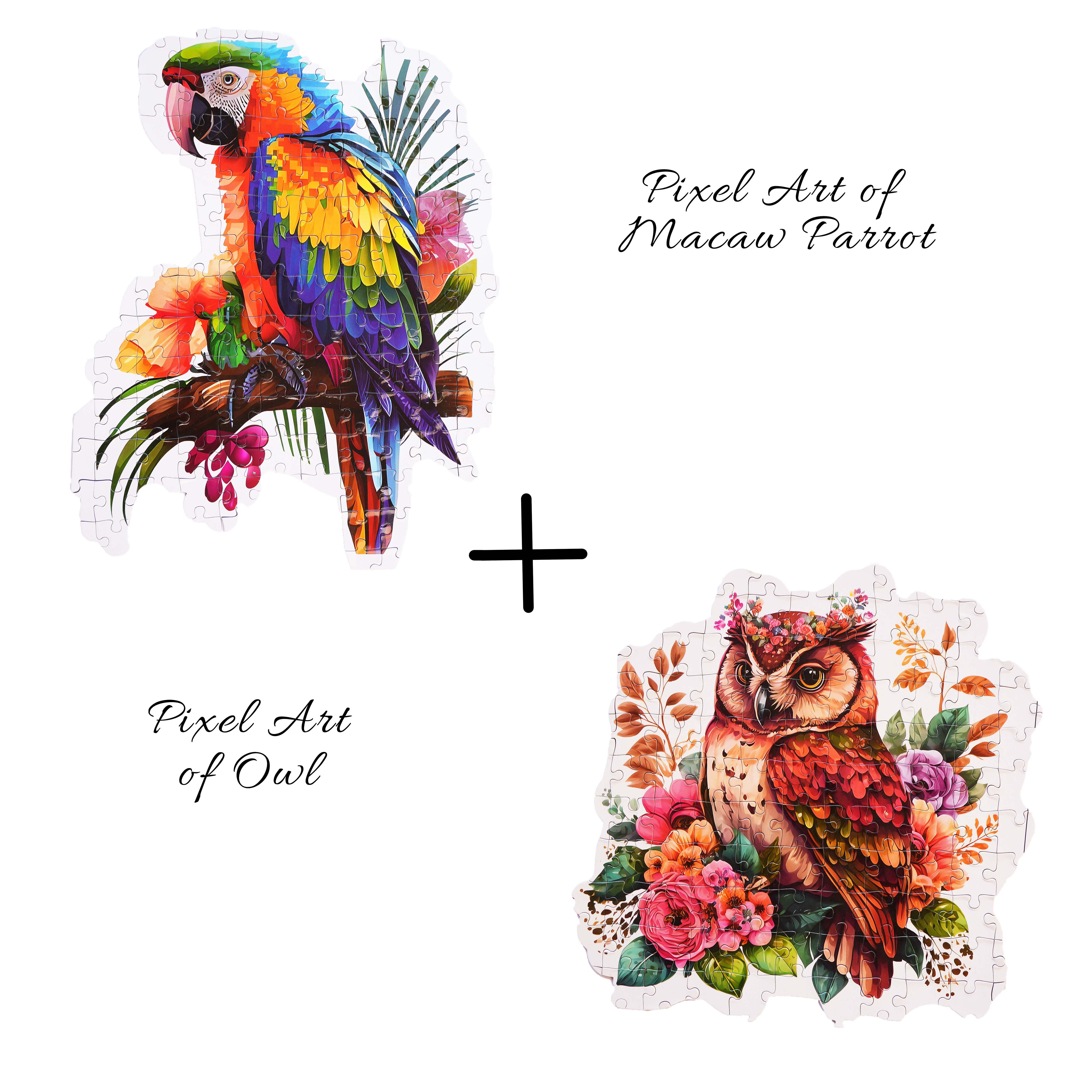 Macaw and Owl Puzzle