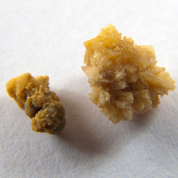 Captura de Tela 2021-02-09 às 13.47.36.png