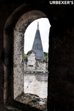 1-1-DSC_0159