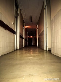 Infection project-32