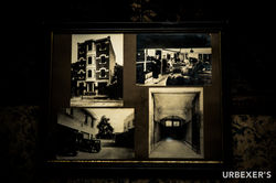 Trauma Project-2