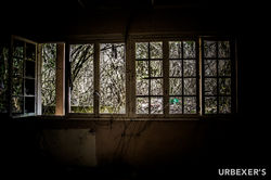 Demons project-15