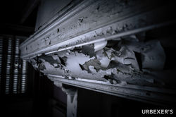 Trauma Project-19