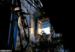 29-Shining Project00029