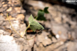 03-1-DSC_0015