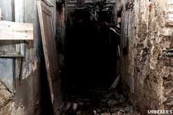 08-Shining Project00008