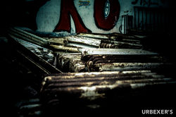 devils train-33