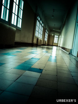 Infection project-5