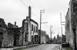 1-1-DSC_0103