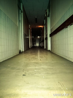 Infection project-17