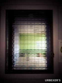 Infection project-11