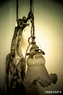 Grudge-19