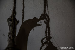 Grudge-28