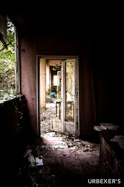 Demons project-19