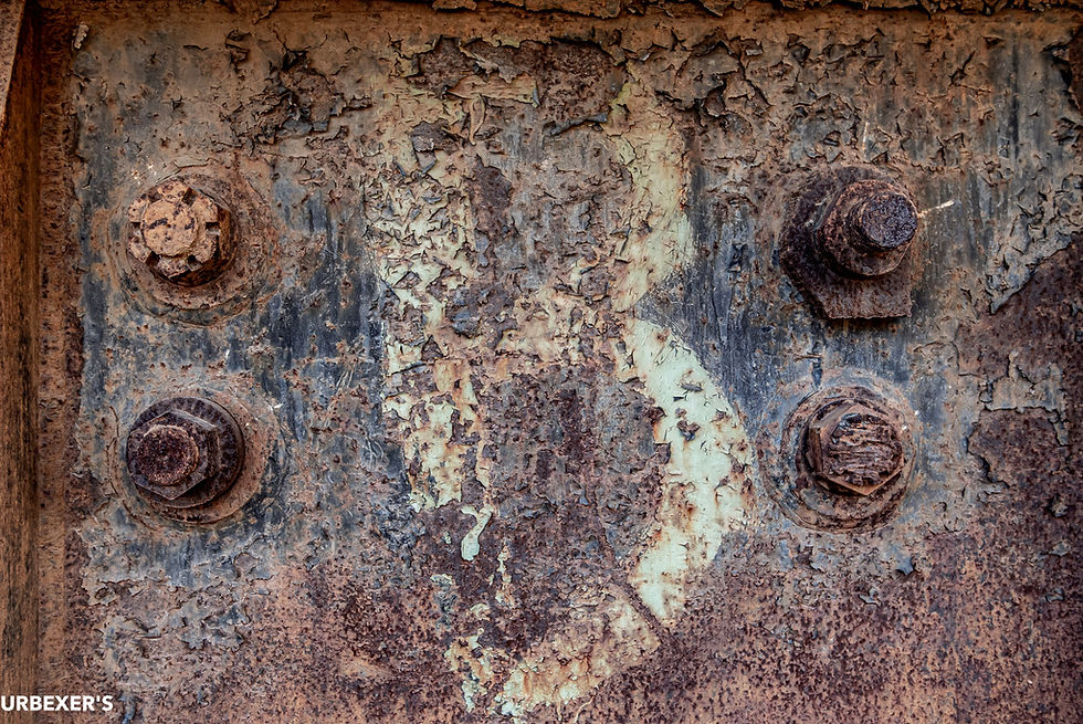 DSC_8382