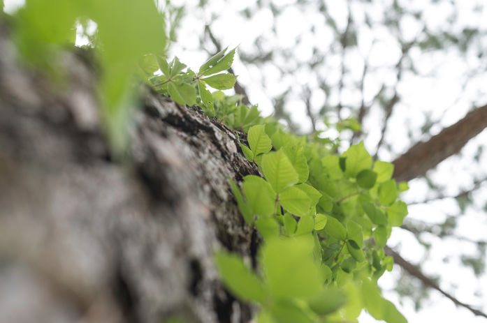 Norfolk Botanical Garden 2023.jpg