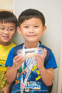 21167163_1723448801294274_7330312555754893956_o