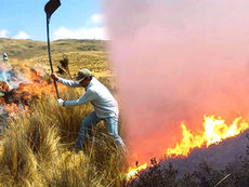 Ingenieros forestales y agricultores señalan al PP y PSOE ante la oleada de incendios.