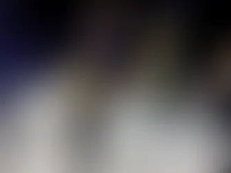 Premio BMW de Pintura