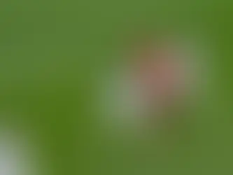 Real Madrid y Atlético empatan con polémica y homenaje a Marcelo