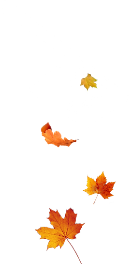 Untitled-1_edited_edited.png