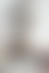 🤎 big short blend 3.0