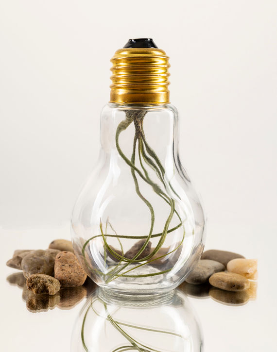 Emily Transparent0076 copy.jpg